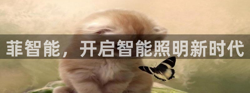 云顶国际培训中心官网