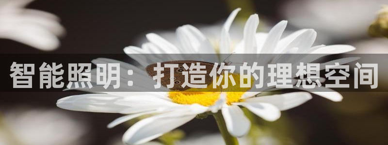 云顶集团公司官网