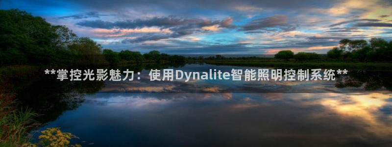 云顶国际酒店老板是谁