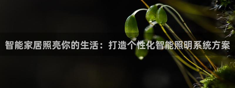 云顶国际官网唯一官方网站