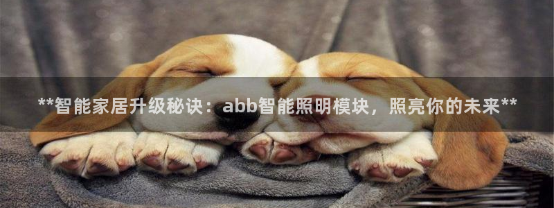 云顶国际平台游戏