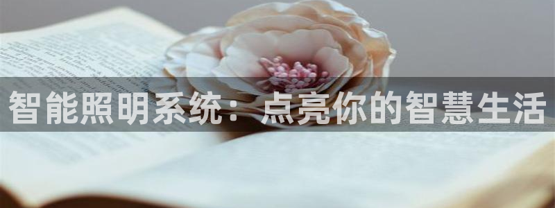 云顶国际体育官方网站入口