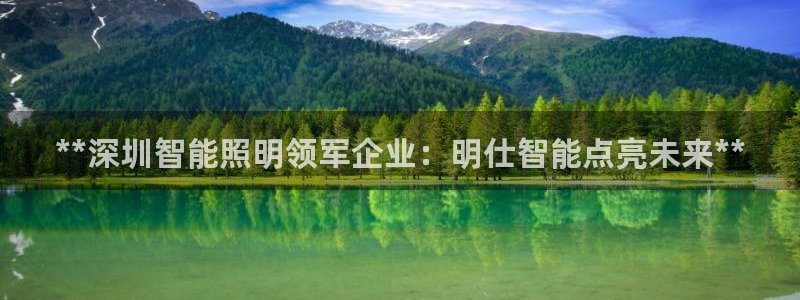 云顶国际大酒店老板