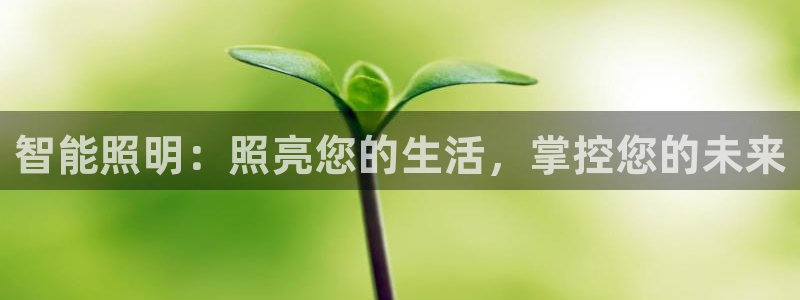 云顶国际晟荣协会荣誉奖项