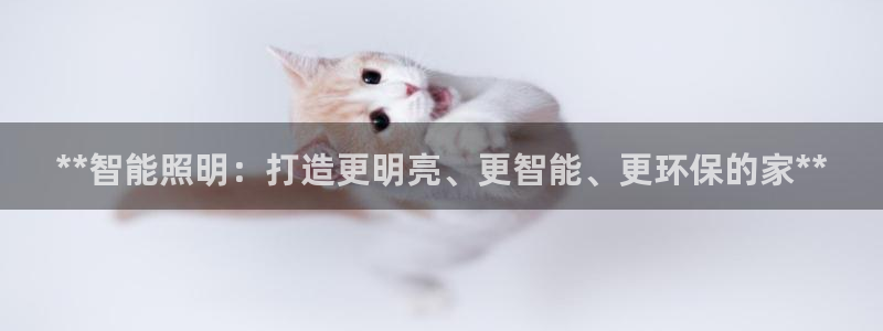 云顶集团简介资料