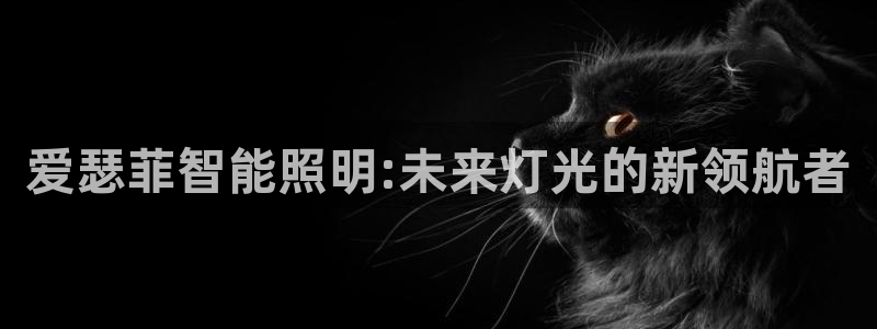 云顶集团app下载官网老版本