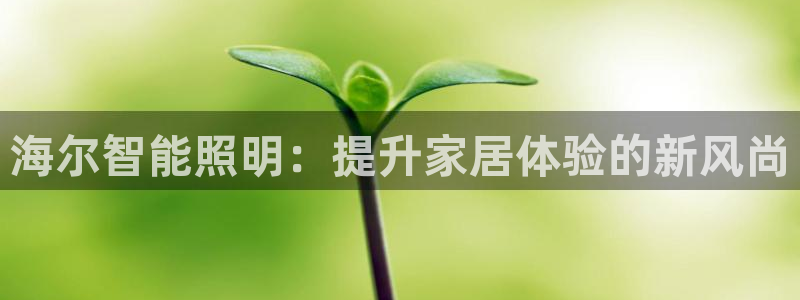 云顶国际地址