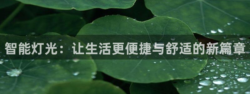yd云顶集团app下载