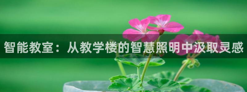 云顶国际百度百科