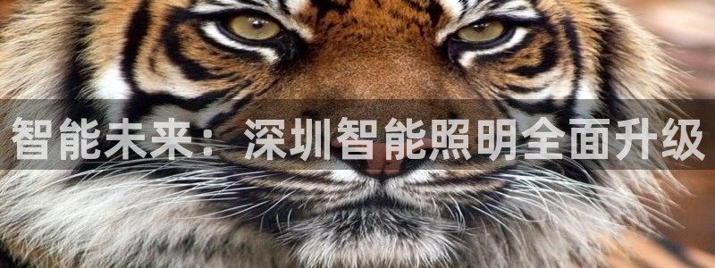 云顶国际大厦物业电话