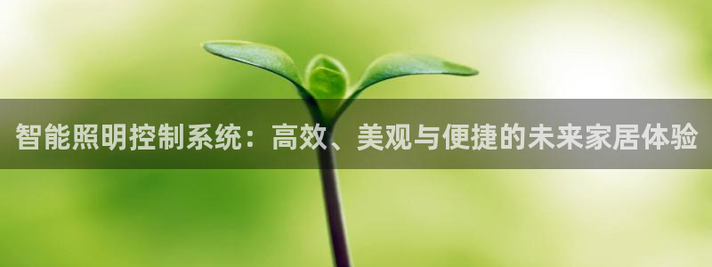 云顶集团专属app