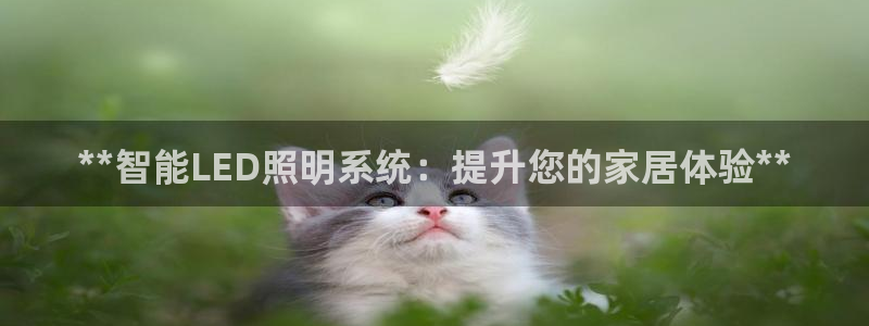 云顶集团林国泰