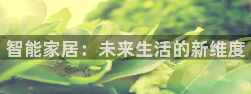 云顶国际装饰设计