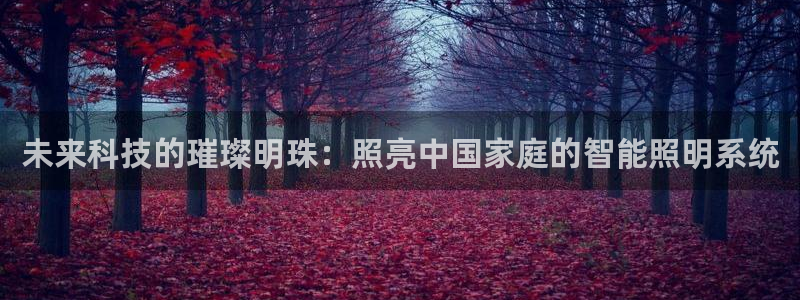 云顶国际公馆产权年限