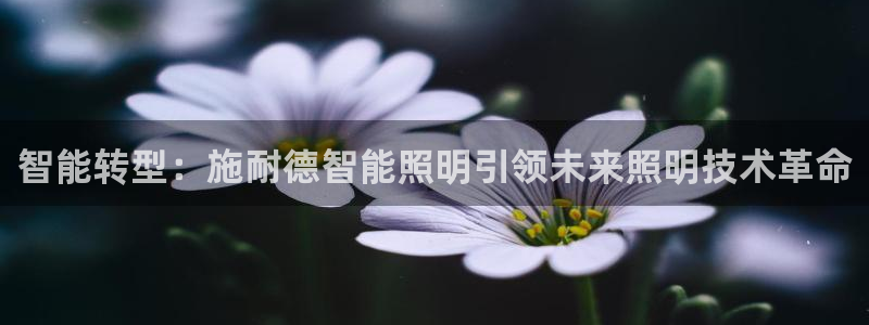 云顶国际服s9什么时候更新的