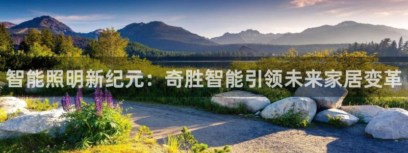 中国云顶控股集团