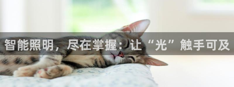 云顶国际商业广场 停车费怎么收