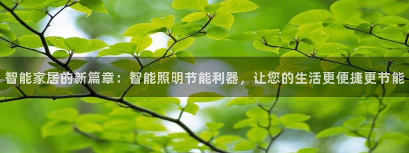 云顶国际服更新s11了吗