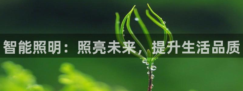 云顶国际--行业领导品牌