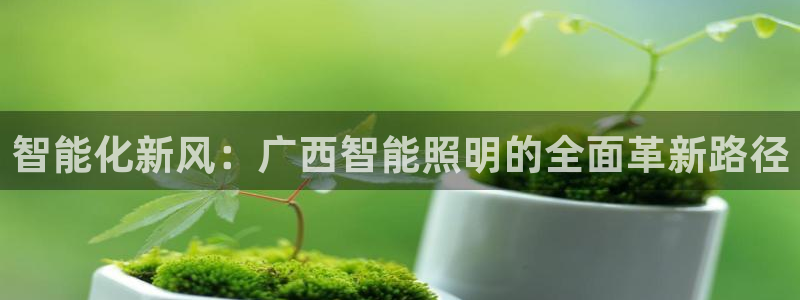 云顶国际测试服怎么进