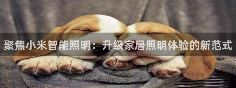 云顶国际高中d s e班学费多少