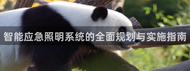 云顶国际二手房出售价格