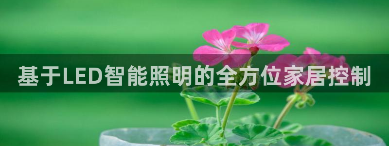 云顶国际app是什么游戏