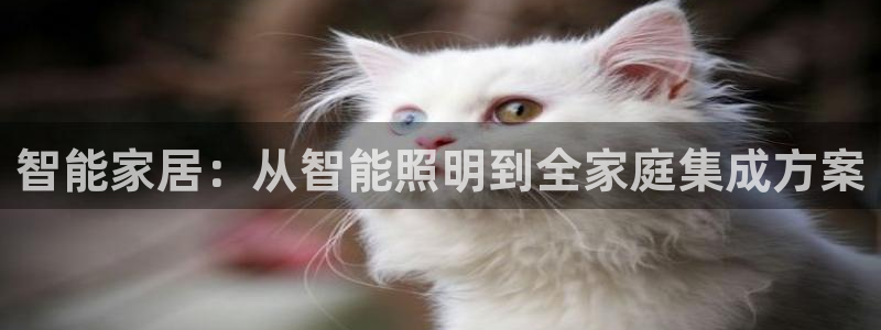 云顶国际能提现吗