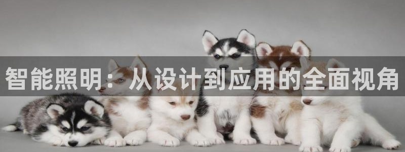 云顶集团网站app下载安装：智能照明：从