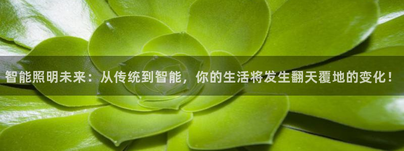 云顶国际电话号码查询