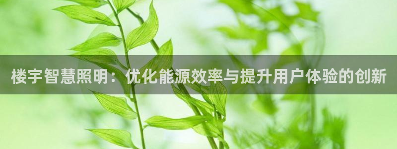 云顶国际服：楼宇智慧照明：优化能源效率与