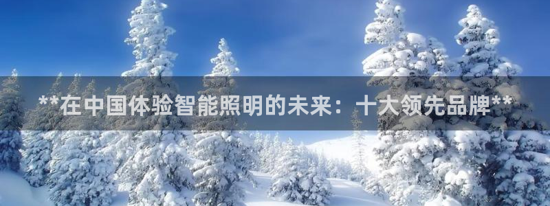 云顶国际服阵容：**在中国体验智能照明的