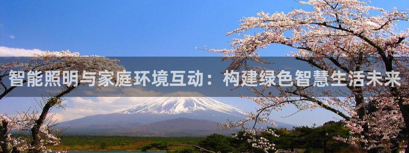 云顶控股集团有限公司：智能照明与家庭环境