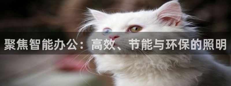 云顶官网唯一官方网站：聚焦智能办公：高效