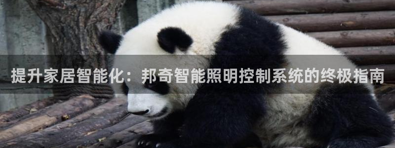 云顶国际集团游戏app