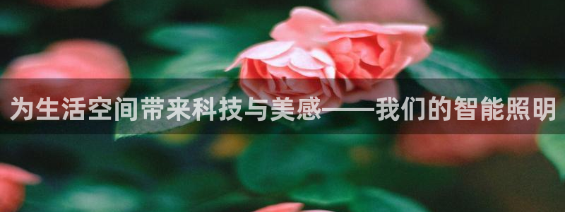 云顶国际地产：为生活空间带来科技与美感—