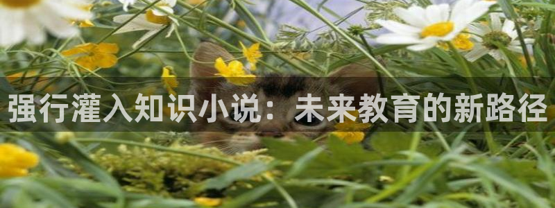 趣笔阁小说网