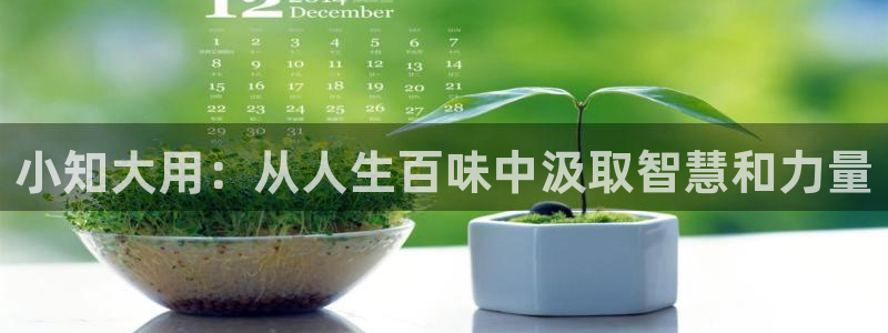 陈浩叶倾城趣笔阁